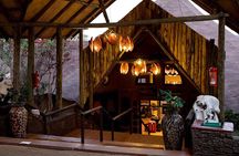 3 Days Masai Mara Encounters-Lodge Safari with Private 4X4 JEEP