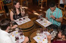  Wine Tasting in Constantia Region Cape Town 
