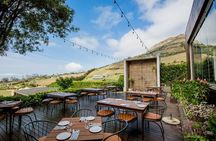  Wine Tasting in Constantia Region Cape Town 