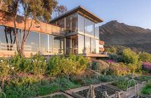  Wine Tasting in Constantia Region Cape Town 