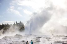 Tauranga Private Excursion: Rotorua -Te Puia-Geysers & Kiwi's