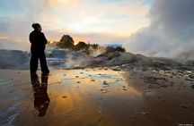 Tauranga Private Excursion: Rotorua -Te Puia-Geysers & Kiwi's