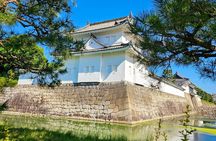 Kyoto Imperial Palace & Nijo Castle Guided Walking Tour - 3 Hours