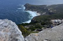 Cape of Good Hope, Cape Point, Penguins & Bo Kaap Full-Day Tour
