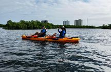 Deluxe Kayak Tour Marco Island and Naples, Florida
