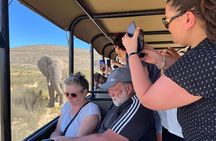 Big Five Safari Experience Near Cape Town ,South Africa