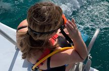 3HR Snuba, shipwreck and Iguana island tour 