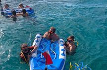 3HR Snuba, shipwreck and Iguana island tour 