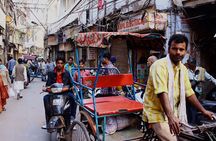 4-Day Golden Triangle Tour with Elephant SOS and Tiger Safari