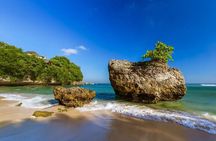 Bali Swing Packages and Uluwatu Temple Sunset Private Tour