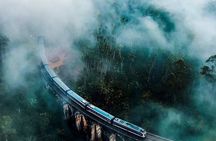 Day trip to ELLA & LIPTON's SEAT with Train Ride [ALL INCLUSIVE]