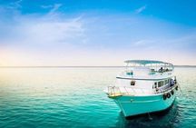 8 Hours Orange Bay Island Snorkeling Experience