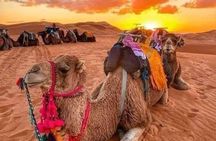 GROUP TOUR - 1 night 2 Day LUXURY Desert TRIP from FES to FES
