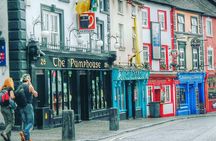 Wicklow Mountains and Kilkenny City Private Tour with Chauffeur 