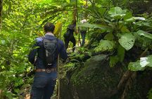 Arenal Jungle Trekking & Cultural Experience