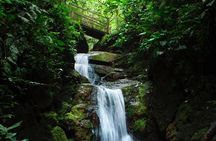 Arenal Jungle Trekking & Cultural Experience