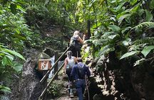 Arenal Jungle Trekking & Cultural Experience