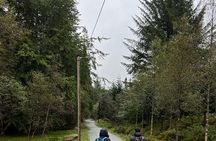 3-Hour Private Tour Hiked through the Bergen Mountains