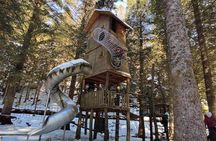 3-Hour Private Tour Hiked through the Bergen Mountains