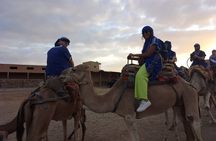 PRIVATE Tour with Dinner & Sunset with Camel To Desert Agafay
