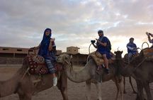 PRIVATE Tour with Dinner & Sunset with Camel To Desert Agafay