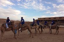 PRIVATE Tour with Dinner & Sunset with Camel To Desert Agafay