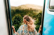 Kandy to Nuwaraeliya by Train Nuwaraeliya City Tour and Drop Ella