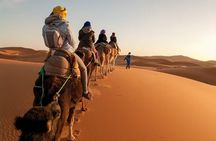 Discover Tangier's Best: Full-Day Private Tour with Local Guide