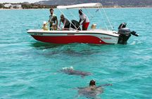 Zakynthos Private Boat: Turtle Spotting, Marathonisi Island(max5)