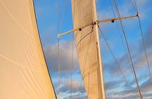 Experience Oceanside Sailing with Whales and dolphins!