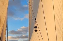 Experience Oceanside Sailing with Whales and dolphins!