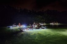 Siesta Key, FL - Clear Kayak LED Night Glass Bottom Tour