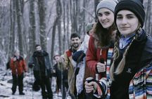 Short trekking to Vinciguerra Glacier and Laguna Tempanos