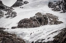 Short trekking to Vinciguerra Glacier and Laguna Tempanos