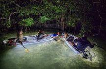 Sarasota - Clear Kayak LED Night Glass Bottom Tour