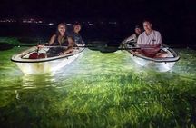 Sarasota - Clear Kayak LED Night Glass Bottom Tour