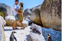 5-Star Small-Group: Cape of Good Hope, Penguins & Bo-Kaap Tour
