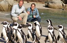 5-Star Small-Group: Cape of Good Hope, Penguins & Bo-Kaap Tour
