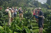 CULTURAL: Coffee&Chocolate Tour + Sloth Trail + Butterfly Garden 