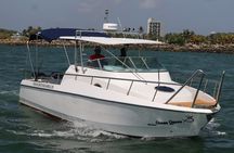 Mirissa Private Super Luxury Sport Speed Boat Whale Watching Trip