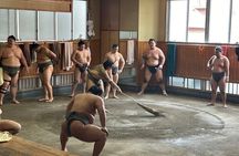 Tokyo: Visit Sumo Morning Practice with English Guide