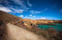 Half Day Guided Walking Tour on Banks Peninsula