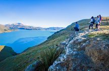 Half Day Guided Walking Tour on Banks Peninsula
