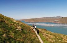 Half Day Guided Walking Tour on Banks Peninsula