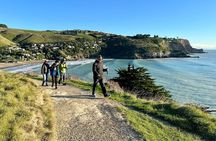 Lyttelton Shore Excursion - Guided Walking Tour and Picnic 
