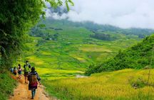 1 Day Sapa Authentic Trekking ( off beaten track )