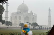 Taj Mahal and Agra Private Day Tour by Express Train from Delhi