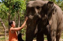 Phnom Tamoa Wildlife Rescue Center, Buddha Kiri Cambodia Day Tour