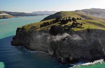 Lyttelton Shore Excursion - Guided Walking Tour and Picnic 