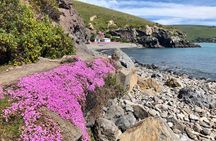 Private Guided Full-Day Godley Head Coastal Hike with Picnic